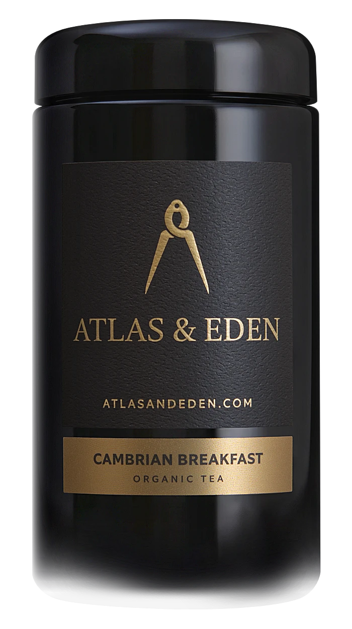 Cambrian Breakfast
